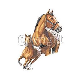 Blanket Appaloosa Adult T-Shirt