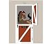 Neigh-bors Door Paint by Number Wall Mural