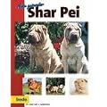 Mein gesunder Shar Pei