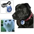 Pets Eye View Camera