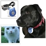 Pets Eye View Camera
