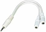 Waytex 21901 - Adaptador de audio est...