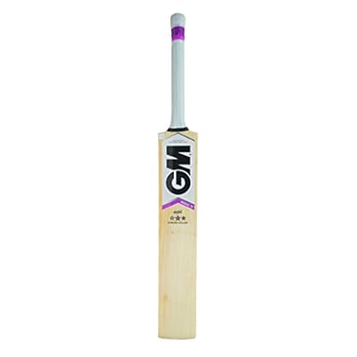 GM Mogul F2 404 English Willow Cricket Bat SH
