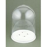 Cake Top Dome