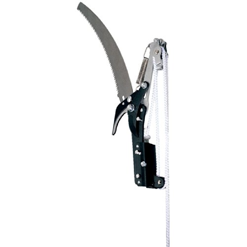 spécification Cap Vert - Echenilloir à coupe franche / 30 - 18