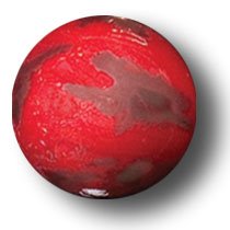 Red Mars Marble with 3 Color Mountains & Ice Caps, 5 In A Pouch, Half Inch Diameter