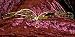 Woven Metal Gold Circlet Crown