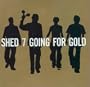 Going for Gold: Greatest Hits