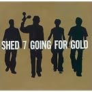Going for Gold - the Greatest Hits