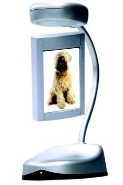Fascinations Picture Frame - Double Sided