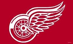 Detroit Red Wings 3'x5' Flag - Hockey Sports Merchandise