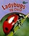 Book Ladybugs Up Close (Minibeasts Up Close)