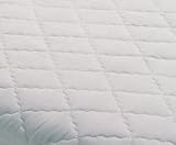 Carpenter New Egyptian Splendor White Mattress Pad -Olympic Queen 66x80