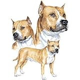 Pit Bull Terrier Adult T-Shirt