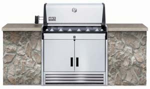 Weber 5390501 Summit Gold D Stainless-Steel Built-In Natural-gas bbq grill
