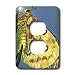 Butterflies - Beautiful Moth - Light Switch Covers - 2 plug outlet cover