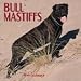 Dog Breeds Bullmastiffs Calendar