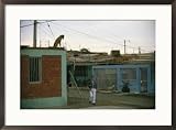 A dog watches passersby from the roof of an Arica house Photography Framed Art Poster Print by Joel Sartore, 29x21