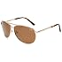 Anarchy Prime Polarized Aviator