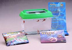 Triassic Triops Eggs and Nutrient