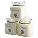 Cain & Able Lavender Blend Aromatherapy Candle, 7 Ounces