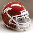 Arkansas Razorbacks Schutt Mini Helmet - College Athletics Sports Merchandise
