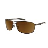 Gargoyles Interval Sunglasses