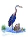 http://ecx.images-amazon.com/images/I/31ZRXZPNRRL._SL75_.jpg