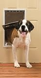 Freedom Aluminum Pet Door - X-Large