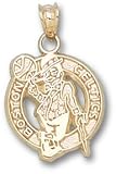 Boston Celtics Logo 5/8. Charm/Pendant -14K/10K, Stainless Steel or Gold Plated