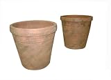 Greenhouse Collection Large Full Pots (Set of 2)