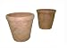 Greenhouse Collection Large Full Pots (Set of 2)