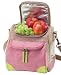 Outdoor Living : Picnic At Ascot Chelsea Retro Lunch Cooler