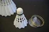 Mini Shuttlecock
