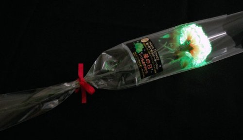 母の日　光るカーネーション　Moon Flower １輪花束　光触媒で消臭