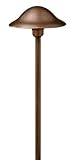IMAGE OF Hinkley Lighting 1401OC Small Solid Copper Essence Path Light, 18 Watt T5 Wedge Base Light Bulb, Old Copper
