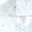 CARRARA VENATO MARBLE 6x6" SQUARE HONED TILE