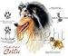 Rough Coated Collie Adult Sweatshirt