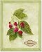 Bookplate Raspberries Art Poster by Susan Glass - 10 x 8