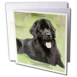 Dogs NewFoundLand - Newfoundland - Greeting Cards-12 Greeting Cards with envelopes