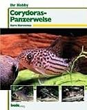 Ihr Hobby: Corydoras-Panzerwelse