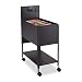 Extra-Large Rollaway File- Black