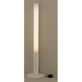 National �E�H�[���X�^���h �m���t���A�X�^���h SF313