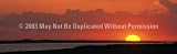 Window Graphic - 16x54 Farewell