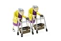 Racing Grannies