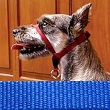 Headcollar - Royal Blue - For Dogs over 130 lb.