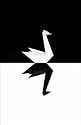 The Black Swan: The Impact of the Highly Improbable