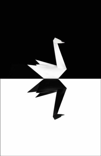 The Black Swan