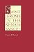 Saint Jerome in the Renaissance (The Johns Hopkins Symposia in Comparative History)