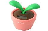 Pink Flip Flap Desk Plant